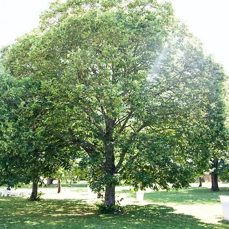 Et Du Chateau 3* Lagord