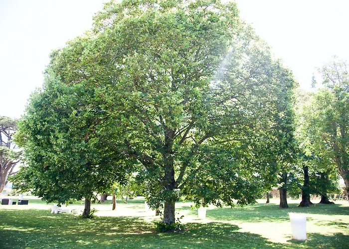 Et Du Chateau 3* Lagord